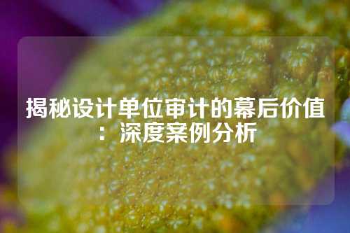 揭秘设计单位审计的幕后价值：深度案例分析