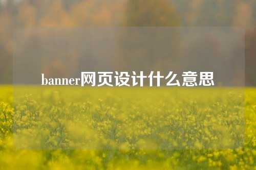 banner网页设计什么意思