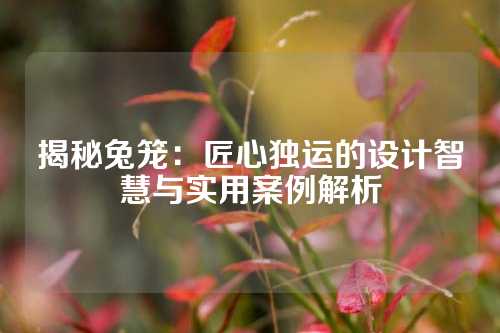 揭秘兔笼：匠心独运的设计智慧与实用案例解析