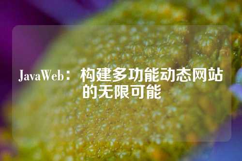 JavaWeb：构建多功能动态网站的无限可能