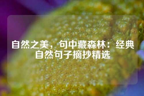 自然之美，句中藏森林：经典自然句子摘抄精选