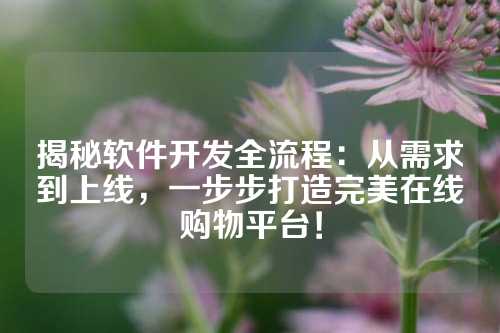 揭秘软件开发全流程：从需求到上线，一步步打造完美在线购物平台！