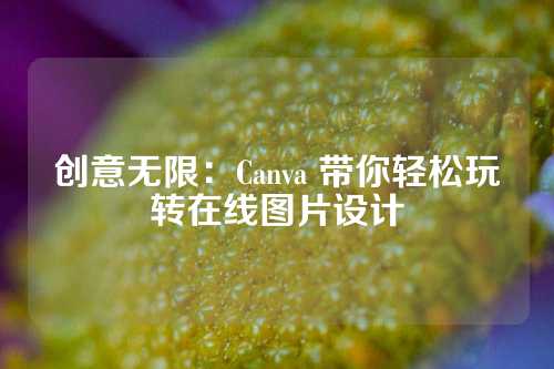 创意无限：Canva 带你轻松玩转在线图片设计