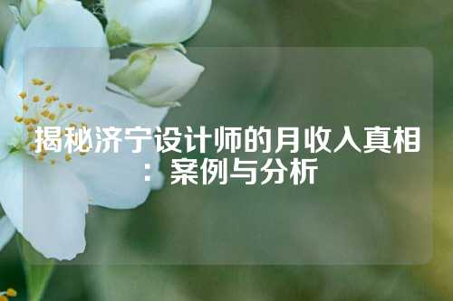 揭秘济宁设计师的月收入真相：案例与分析