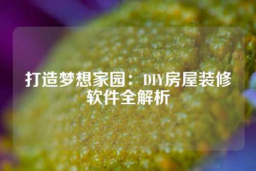 打造梦想家园：DIY房屋装修软件全解析