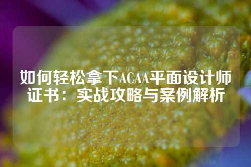 如何轻松拿下ACAA平面设计师证书：实战攻略与案例解析