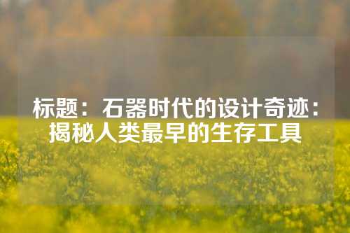 标题：石器时代的设计奇迹：揭秘人类最早的生存工具