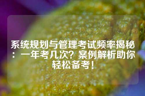 系统规划与管理考试频率揭秘：一年考几次？案例解析助你轻松备考！