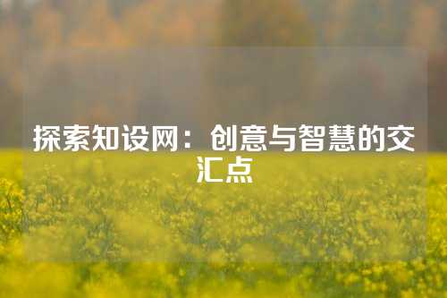 探索知设网：创意与智慧的交汇点