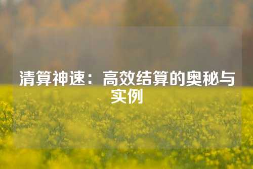 清算神速：高效结算的奥秘与实例