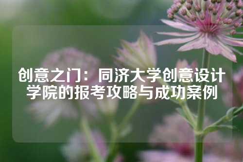 创意之门：同济大学创意设计学院的报考攻略与成功案例