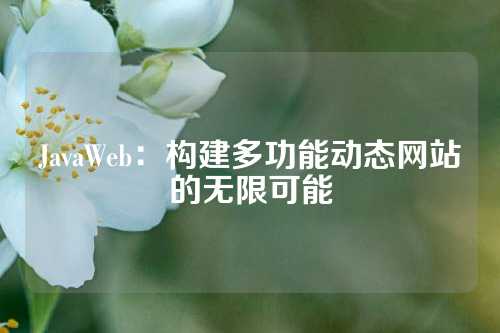 JavaWeb：构建多功能动态网站的无限可能