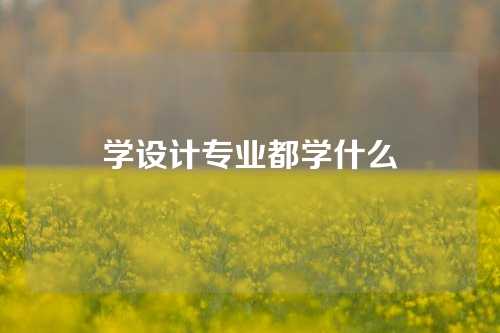 学设计专业都学什么