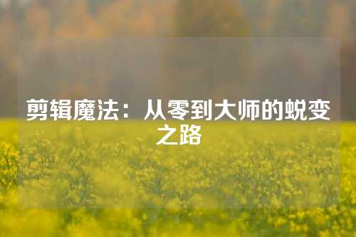 剪辑魔法：从零到大师的蜕变之路