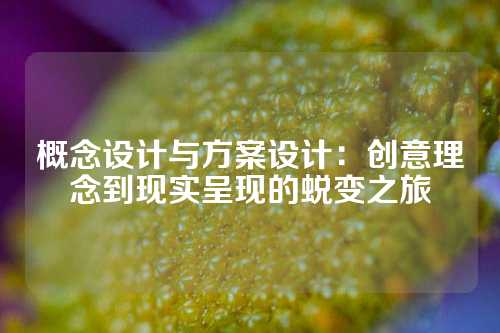 概念设计与方案设计：创意理念到现实呈现的蜕变之旅