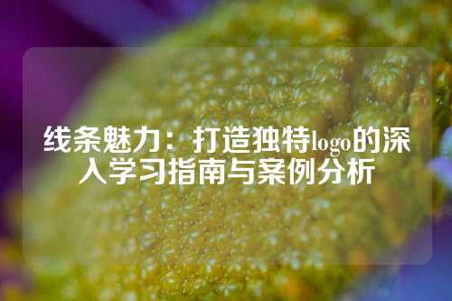 线条魅力：打造独特logo的深入学习指南与案例分析