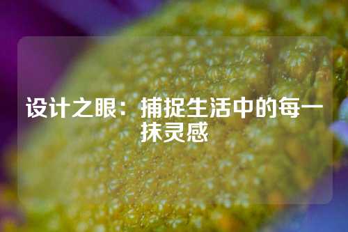 设计之眼：捕捉生活中的每一抹灵感