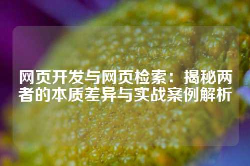 网页开发与网页检索：揭秘两者的本质差异与实战案例解析