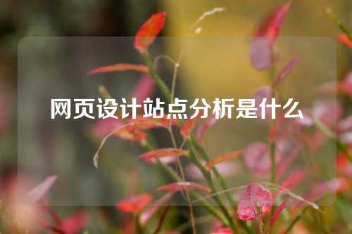 网页设计站点分析是什么