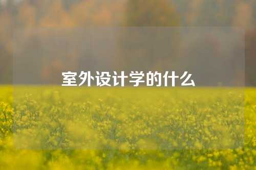 室外设计学的什么