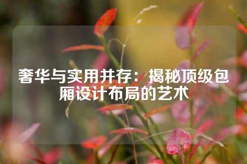 奢华与实用并存：揭秘顶级包厢设计布局的艺术