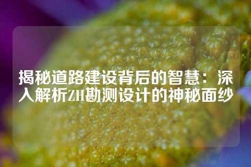 揭秘道路建设背后的智慧：深入解析ZH勘测设计的神秘面纱