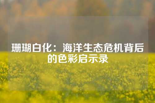 珊瑚白化：海洋生态危机背后的色彩启示录