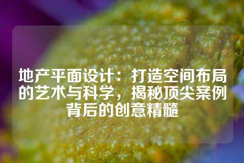 地产平面设计：打造空间布局的艺术与科学，揭秘顶尖案例背后的创意精髓