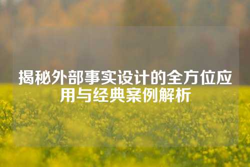 揭秘外部事实设计的全方位应用与经典案例解析