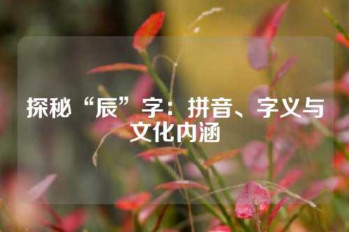 探秘“辰”字：拼音、字义与文化内涵