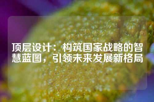 顶层设计：构筑国家战略的智慧蓝图，引领未来发展新格局