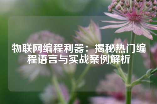 物联网编程利器：揭秘热门编程语言与实战案例解析