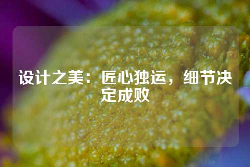 设计之美：匠心独运，细节决定成败