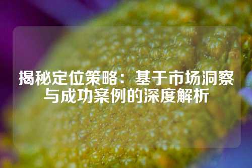 揭秘定位策略：基于市场洞察与成功案例的深度解析