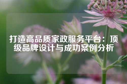 打造高品质家政服务平台：顶级品牌设计与成功案例分析