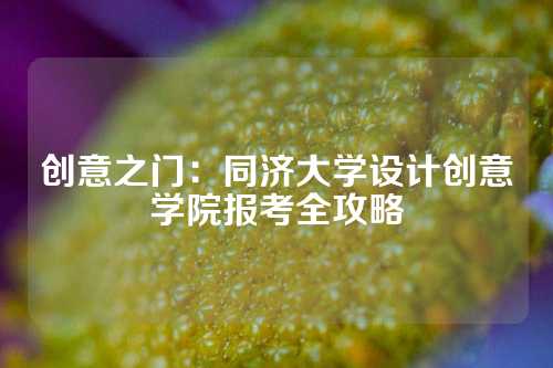 创意之门：同济大学设计创意学院报考全攻略