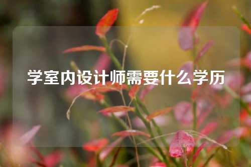 学室内设计师需要什么学历