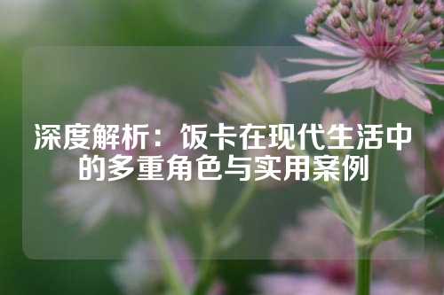 深度解析：饭卡在现代生活中的多重角色与实用案例