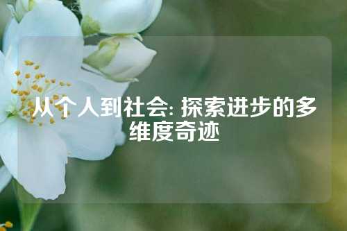 从个人到社会: 探索进步的多维度奇迹