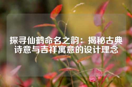 探寻仙鹤命名之韵：揭秘古典诗意与吉祥寓意的设计理念