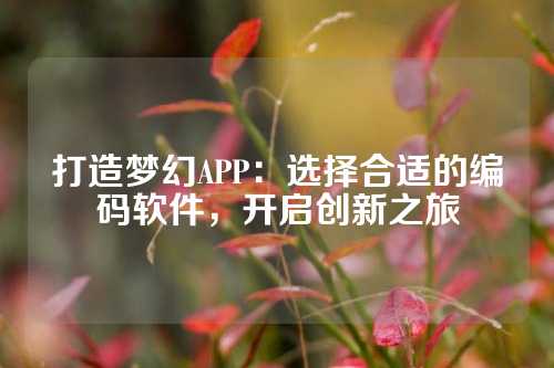 打造梦幻APP：选择合适的编码软件，开启创新之旅