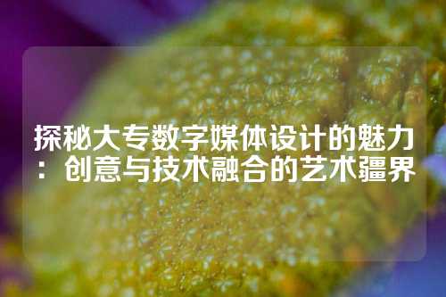 探秘大专数字媒体设计的魅力：创意与技术融合的艺术疆界