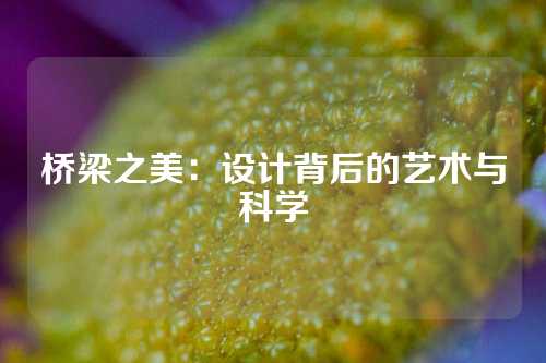 桥梁之美：设计背后的艺术与科学