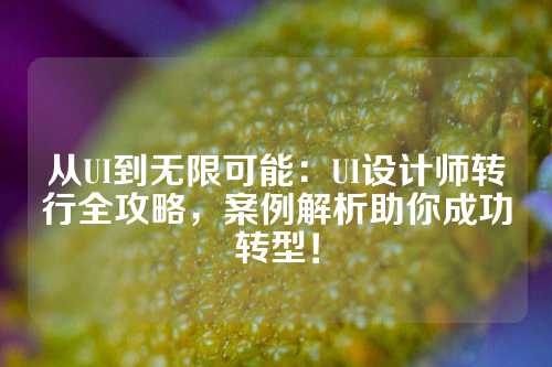 从UI到无限可能：UI设计师转行全攻略，案例解析助你成功转型！