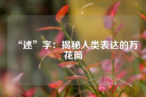 “述”字：揭秘人类表达的万花筒