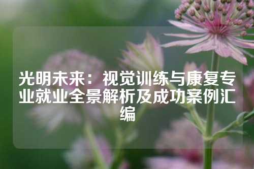 光明未来：视觉训练与康复专业就业全景解析及成功案例汇编