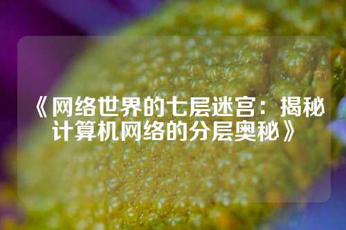 《网络世界的七层迷宫：揭秘计算机网络的分层奥秘》