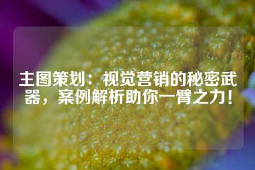 主图策划：视觉营销的秘密武器，案例解析助你一臂之力！